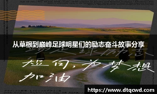 星空综合体育平台